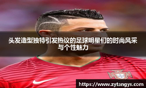星空综合股份(中国)